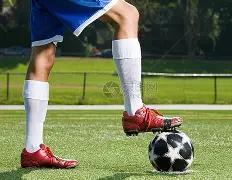 卡拉菲奥里,即将回归阿,森纳赛场,香港马会,赛程安排,赛果查询,马匹资料,赛事动态