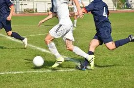 国安泰山再,对决,天复仇战,香港马会,赛程安排,赛果查询,马匹资料,赛事动态