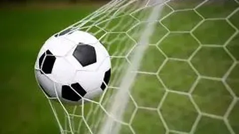 奥运冠军赵芸蕾湖北崇阳指导羽毛球新秀